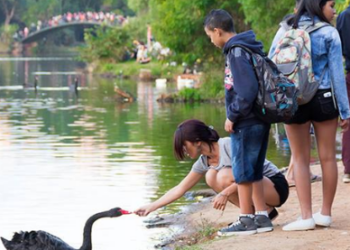 Alerta para acidentes com crianças nas férias de verão 1