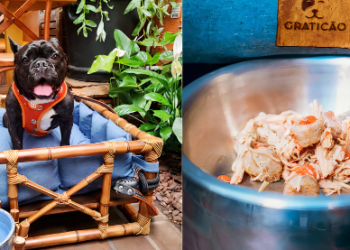 Restaurante Zena lança Menu Pet