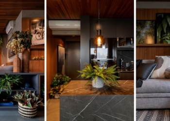 Dicas de iluminação para valorizar as plantas no décor